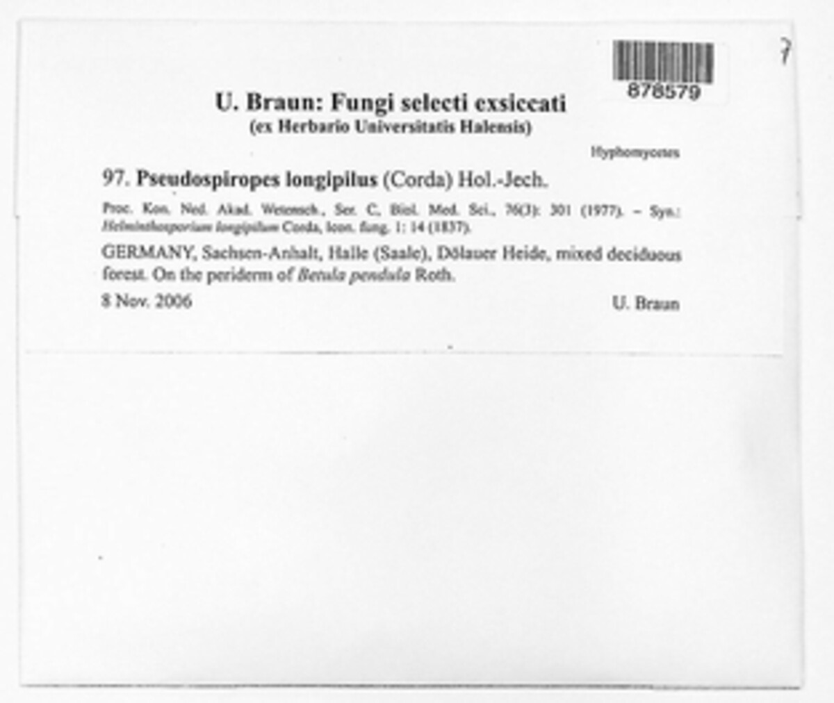 Pseudospiropes image